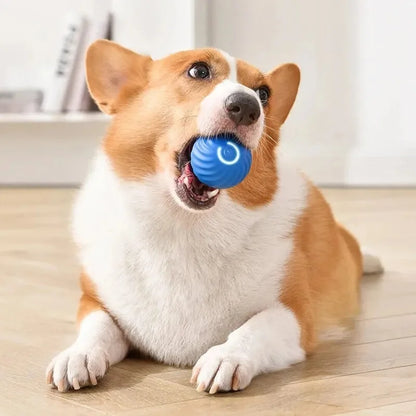 USB Rechargeable Smart Pet Toy Ball – Automatic Moving Interactive Dog & Cat Toy
