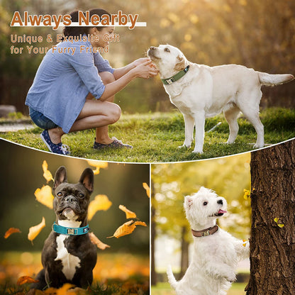 Custom Engraved Nylon Dog Collar – Adjustable Personalized Pet ID Collar