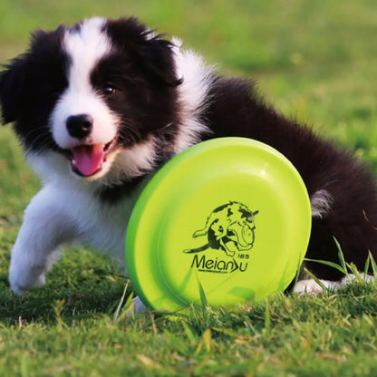 Lightweight Dog Training Disc – Durable Easy-Catch Puppy & Dog Toy