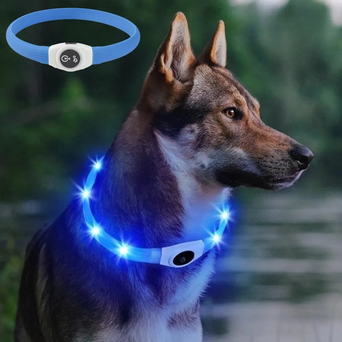 Premium LED Dog Collar – Night Safety, Waterproof & Glowing