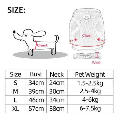 No Pull Dog & Cat Harness with Leash – Adjustable & Breathable
