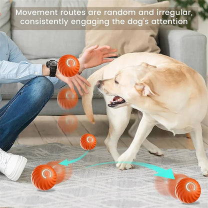 USB Rechargeable Smart Pet Toy Ball – Automatic Moving Interactive Dog & Cat Toy