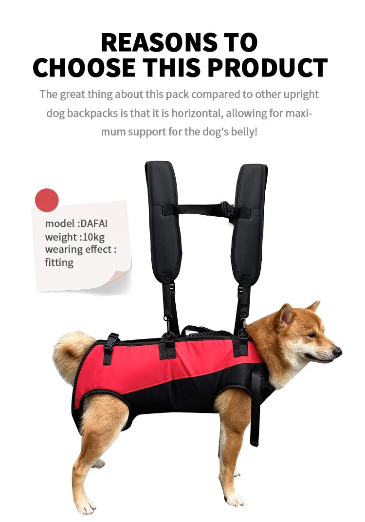 Dog Recovery Support Harness – Adjustable Rear Leg Lift Sling for Injury & Rehabilitation