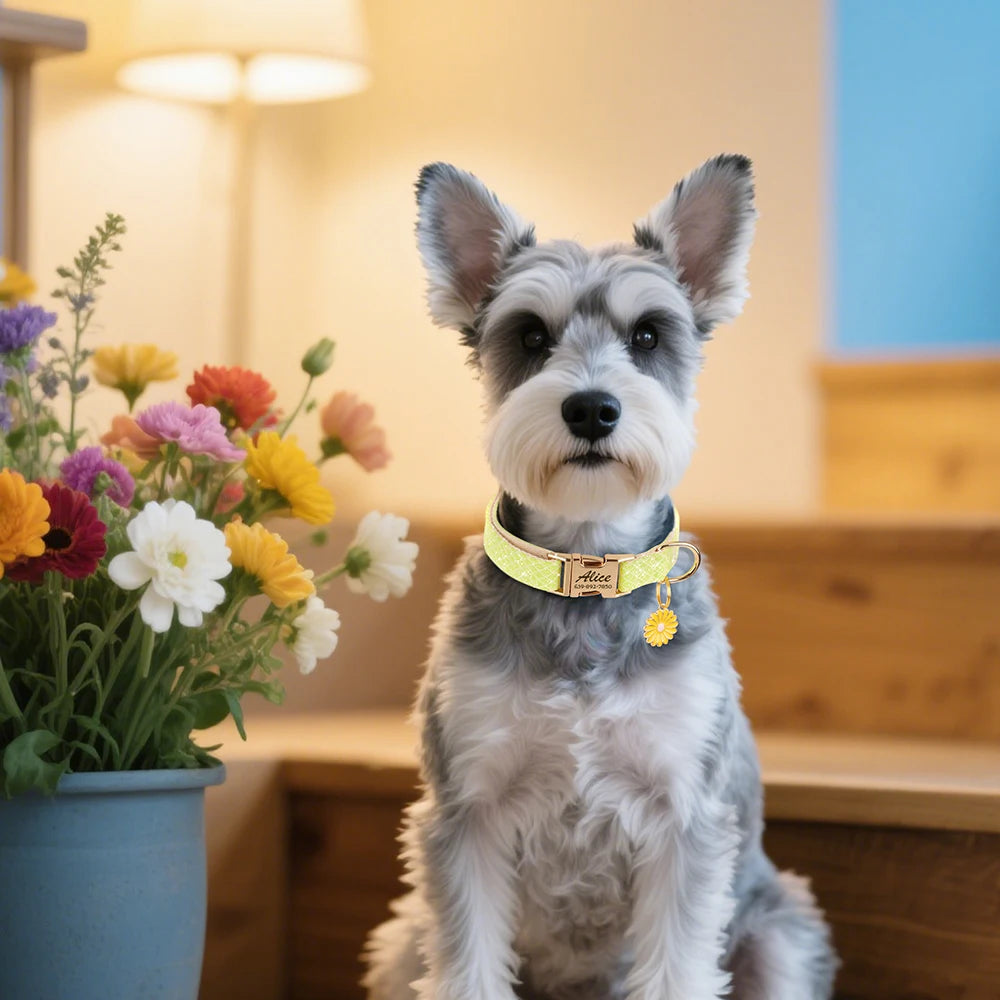 Personalized Bling Dog Collar – Engraved Nylon Puppy ID Collar with Flower Tag