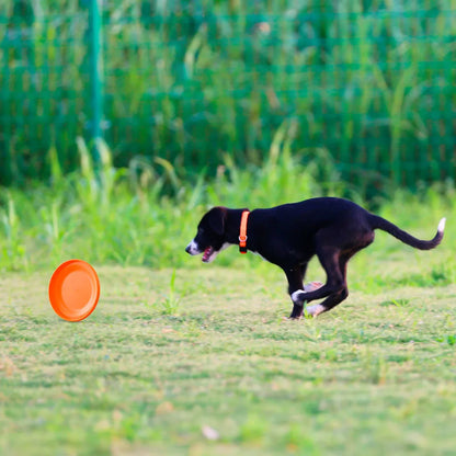 Lightweight Dog Training Disc – Durable Easy-Catch Puppy & Dog Toy