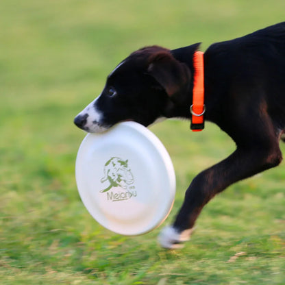 Lightweight Dog Training Disc – Durable Easy-Catch Puppy & Dog Toy