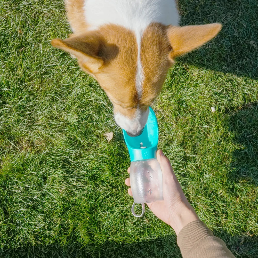 Portable Dog Water Bottle 300ML – Leakproof Travel Drinking Bottle for Dogs and Cats