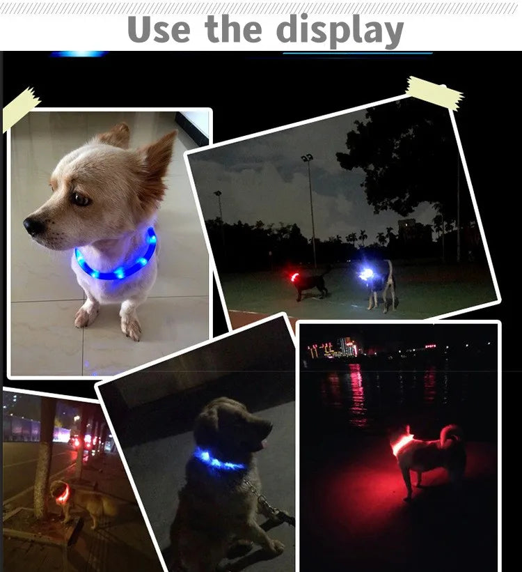 New Led Luminous Dog Collar PVC Waterproof , For Large Medium Small Dogs Collar Usb Light Night Safety Pet Glowing Accessories