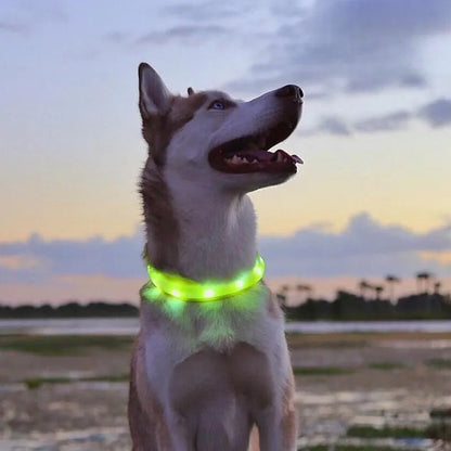 Premium LED Dog Collar – Night Safety, Waterproof & Glowing