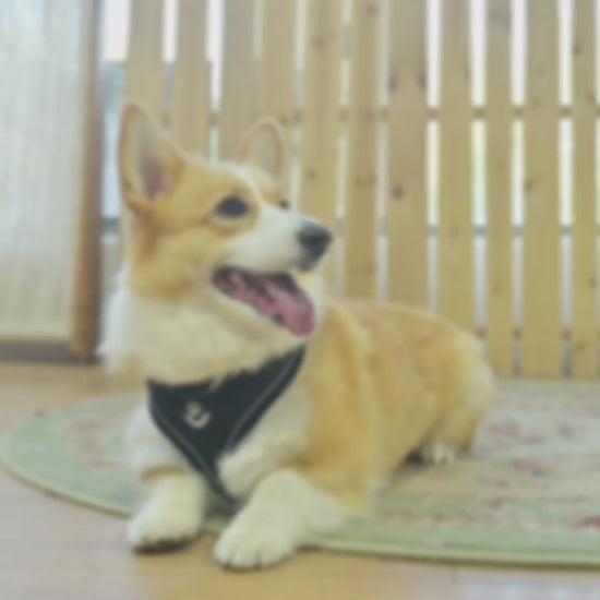 F1+FrBk0piL.mp4__PID:48a1d5e6-07e2-4f50-a98e-85557d4a19b5