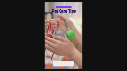 Rechargeable Smart Rolling Ball Pet Toy – Interactive Mouse Imitation Toy