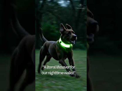 Premium LED Dog Collar – Night Safety, Waterproof & Glowing