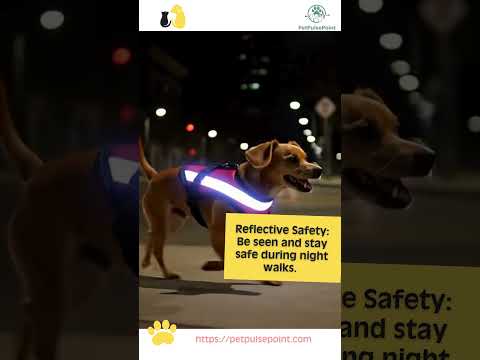 No Pull Dog & Cat Harness with Leash – Adjustable & Breathable