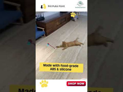 Rechargeable Smart Rolling Ball Pet Toy – Interactive Mouse Imitation Toy